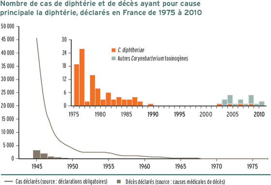 Graphique représentant le nombre de cas de diphtérie et de décès
dus à cette maladie